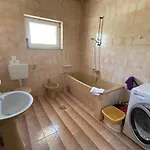 Apartament Ribicic *