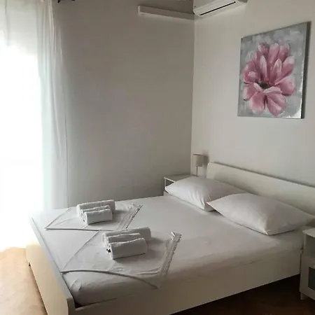 Apartman Ribicic *